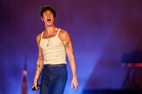 shawn mendes cock|Shawn Mendes opens up about his sexuality .